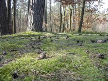 ARTYKUŁY PRASOWE 2016