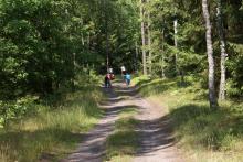 ARTYKUŁY PRASOWE 2017