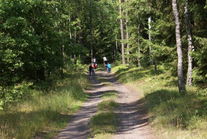 Fot. Archiwum Nadleśnictwa Pisz