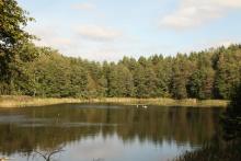 XX Puchar Puszczy Piskiej – sportowe emocje w sercu lasu