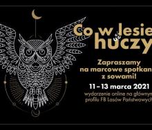 Usłysz, co w lesie huczy. Leśnicy zapraszają na sowią noc