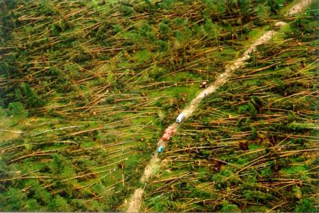 Zdjęcia zniszczeń po przejściu huraganu w 2002 roku