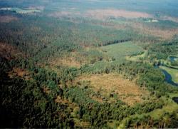 fot. Archiwum Nadleśnictwa Pisz