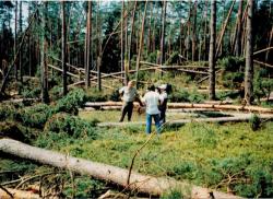 fot. Archiwum Nadleśnictwa Pisz
