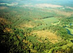 fot. Archiwum Nadleśnictwa Pisz