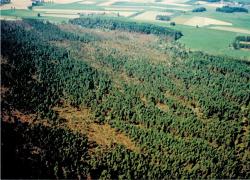 fot. Archiwum Nadleśnictwa Pisz