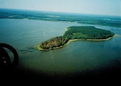 fot. Archiwum Nadleśnictwa Pisz