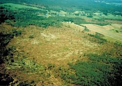 fot. Archiwum Nadleśnictwa Pisz