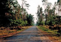 fot. Archiwum Nadleśnictwa Pisz