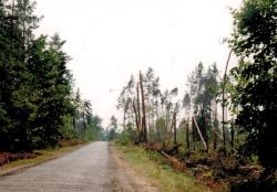 fot. Archiwum Nadleśnictwa Pisz