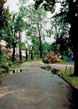 fot. Archiwum Nadleśnictwa Pisz