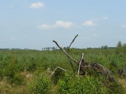 Uprawy pohuraganowe 2010 rok