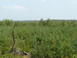 Uprawy pohuraganowe 2010 rok